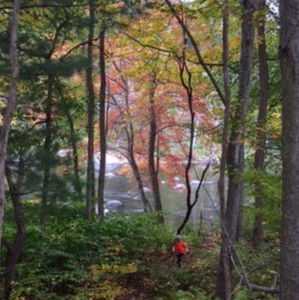 Meet your Posher, Leah